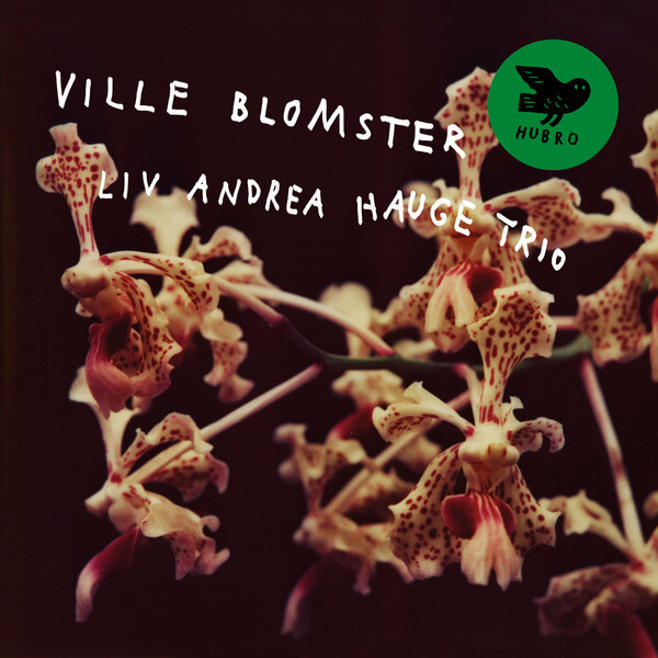 Liv Andrea Hauge Trio - Ville Blomster - LP