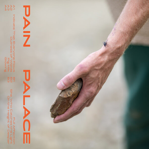 Pain Palace - Pain Palace - LP