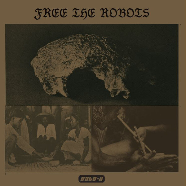 Free The Robots - Datu 2 - LP