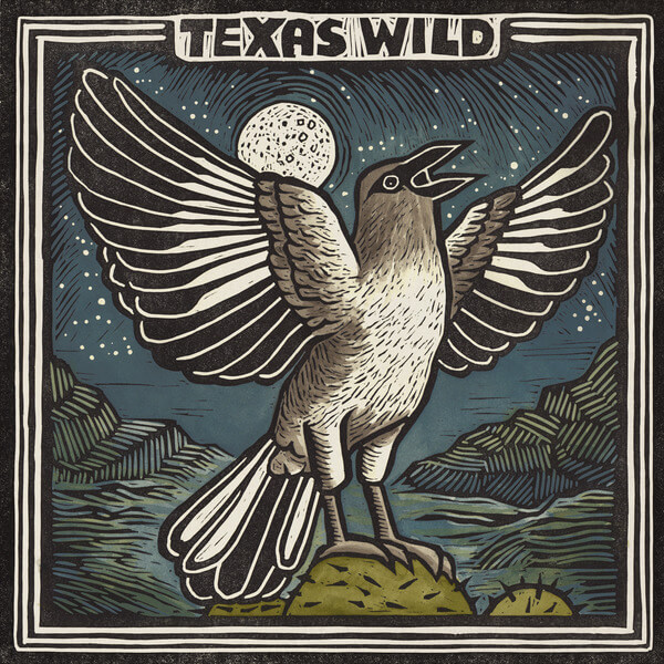 VA - Texas Wild - LP