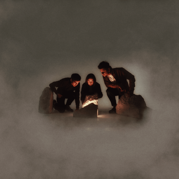 Blind Seagull - Decade Of Effort - LP