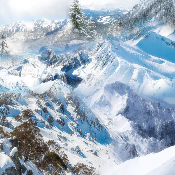 Schntzl - Holiday - LP