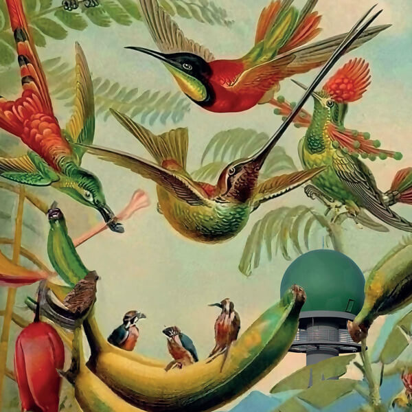 VA - Radar Keroxen Vol.4 - LP