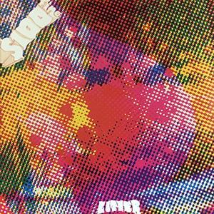 The Litter - $100 Fine - Vinyl LP