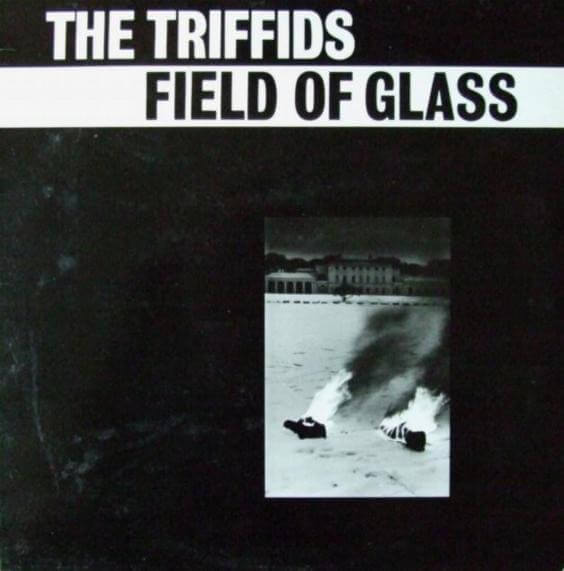 The Triffids - Field Of Glass - Vinyl Maxi Single 12"