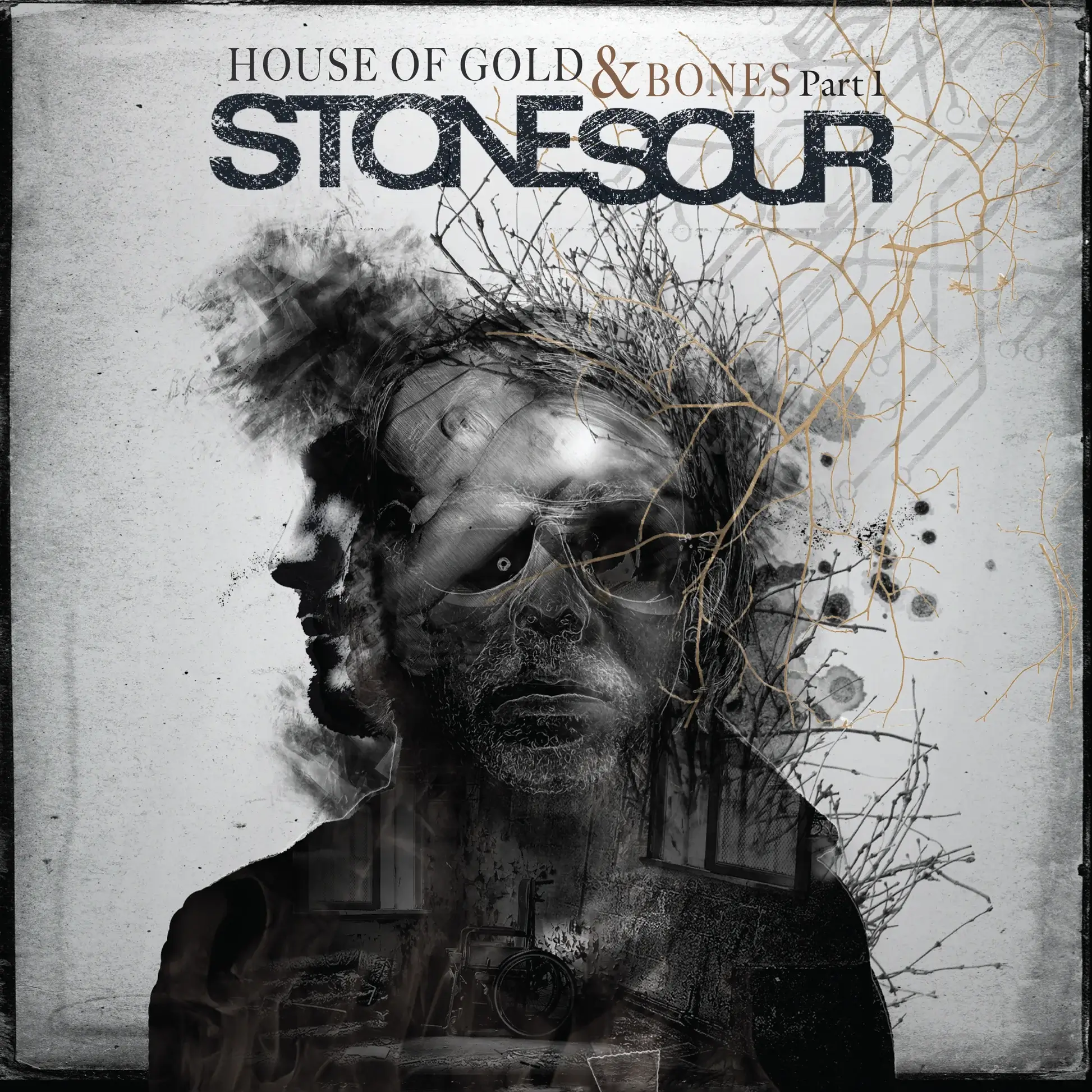 Stone Sour - House Of Gold & Bones Part 1 - Vinyl LP