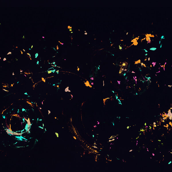 Elaine Mitchener - Solo Throat - LP