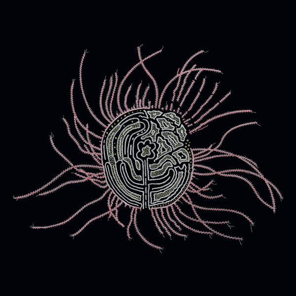 Ka Baird - Bearings: Soundtracks for the Bardos - LP