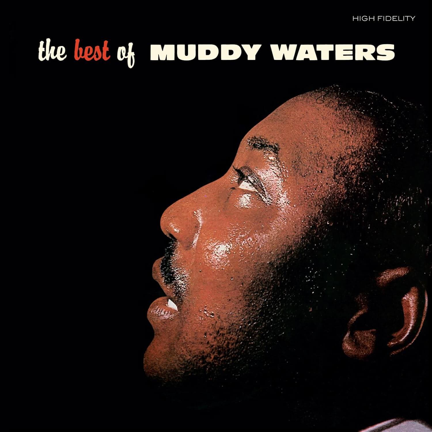 Muddy Waters - The Best Of Muddy Waters - Vinyl LP