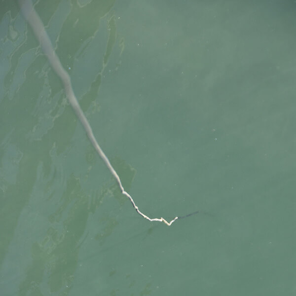 Valentina Villarroel - Vibrante - Tape