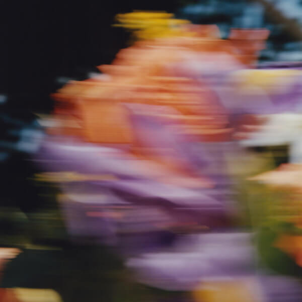 Catching Flies - Tides - LP