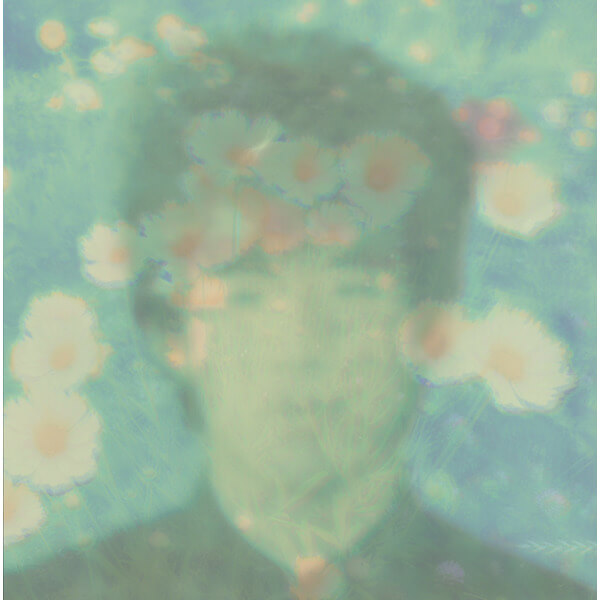 Love Wonderland - The Best Twilights of - LP