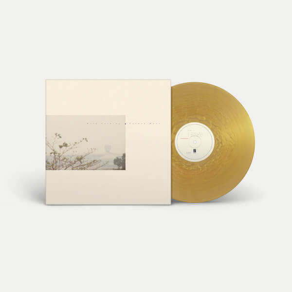 Wild Nothing - Golden Haze - 12"