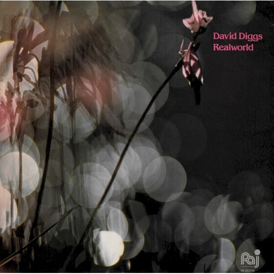 David Diggs - Realworld - CD
