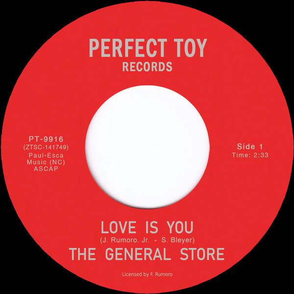 The General Store - Love Is You - 7"