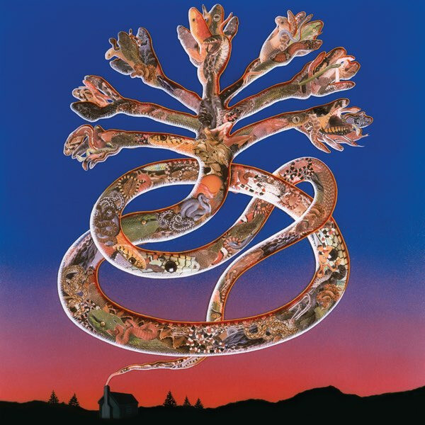 Cyclobe - Wounded Galaxies Tap at the Window - CD