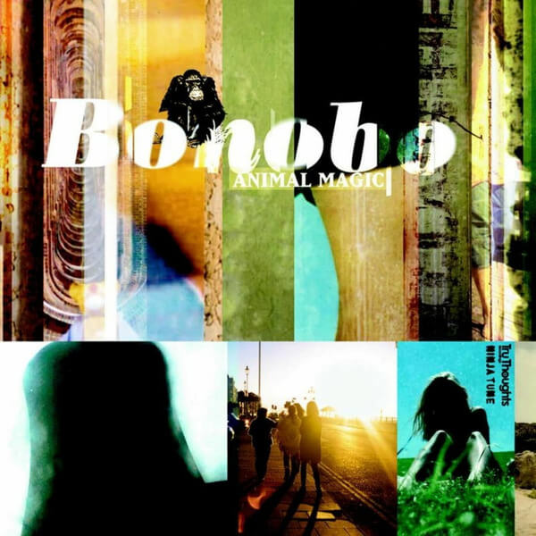 Bonobo - Animal Magic - Tape