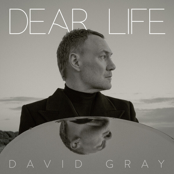 David Gray - Dear Life - 2LP