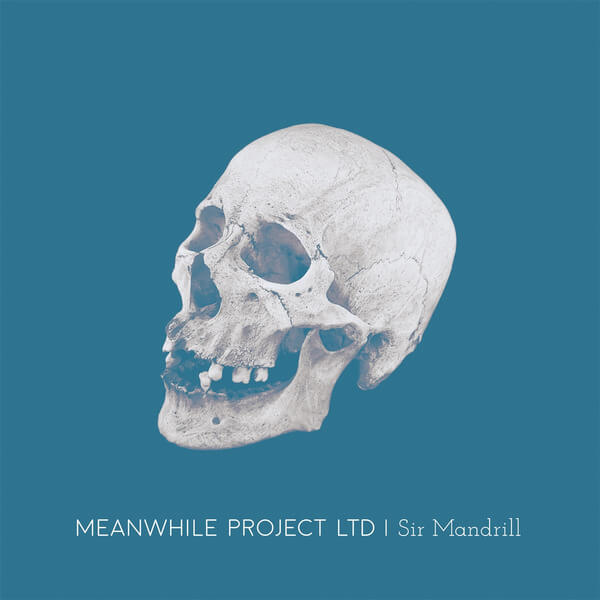 Meanwhile Project Ltd - Sir Mandrill - LP