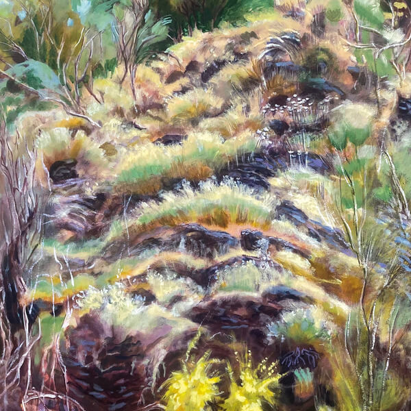 Swim Surreal - In The Half Light - CD