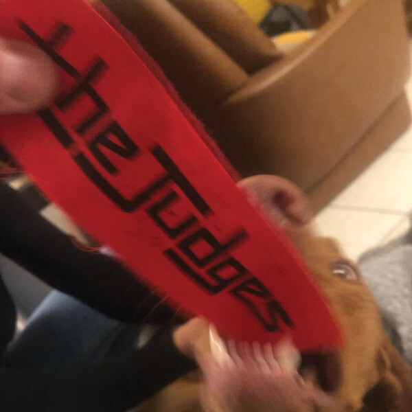 The Judges - Guns - 7"