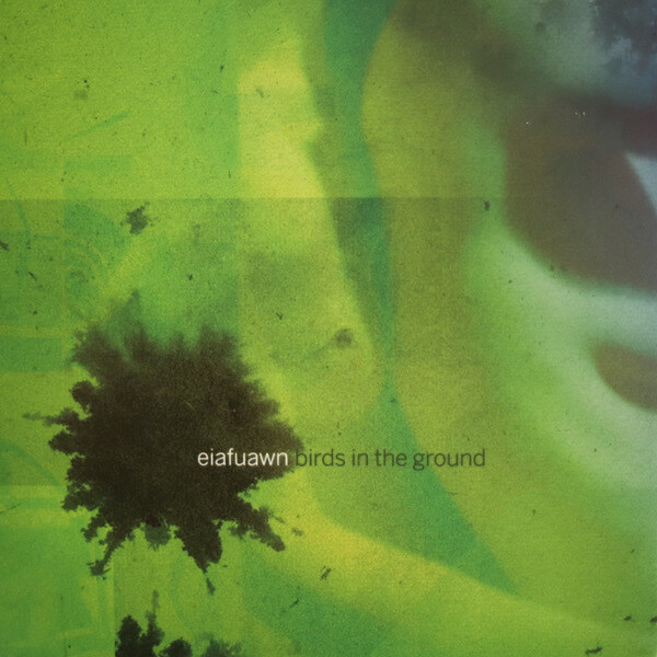 Eiafuawn - Birds In The Ground - Tape