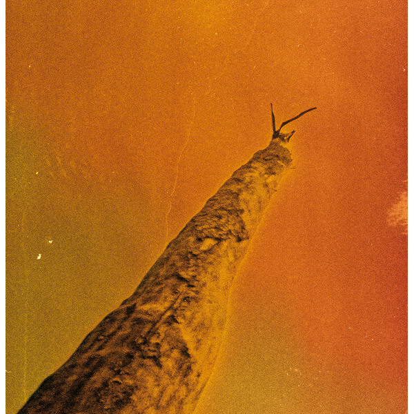 Frederic D. Oberland / Gregory Dargent / Tony Elieh / Wassim Halal - SIHR - CD