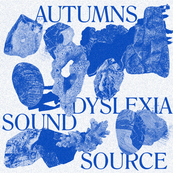 Autumns - Dyslexia Sound Source  - LP