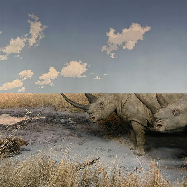 Carpet - Collision - LP