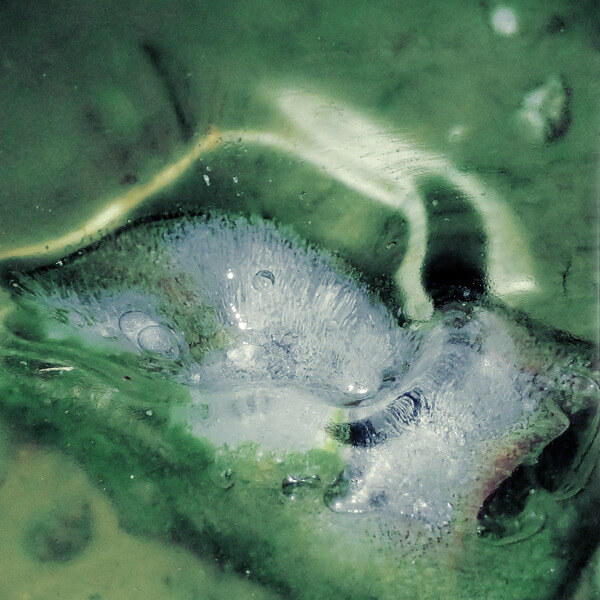 Tristan Arp - a pool, a portal - LP