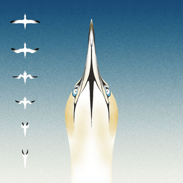 20Syl / Christophe Panzani - Sula Bassana - CD