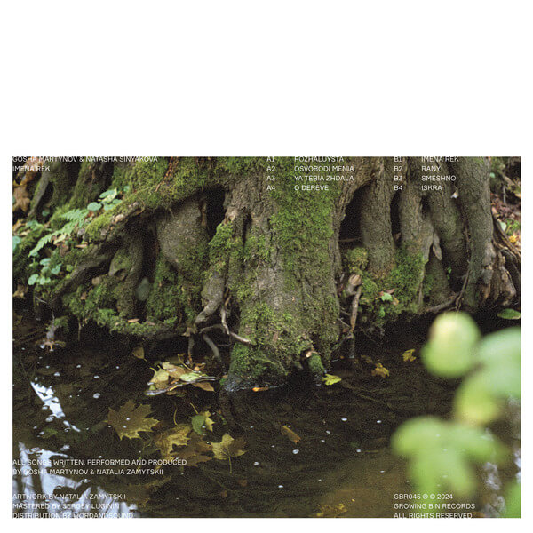 Gosha Martynov & Natasha Sinyakova - Imena Rek - LP