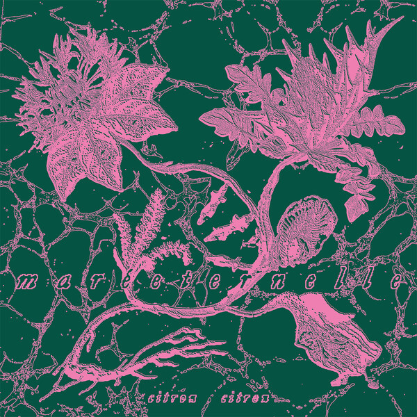 Citron Citron - Mareeternelle - CD