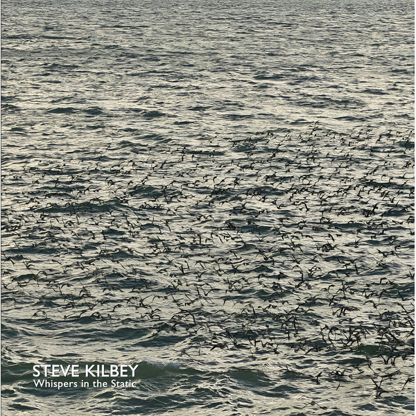 Steve Kilbey - Whispers In The Static - CD