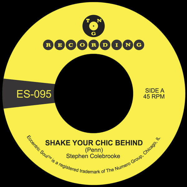 Stephen Colebrooke - Shake Your Chic Behind b/w Stay Away From Music - 7"