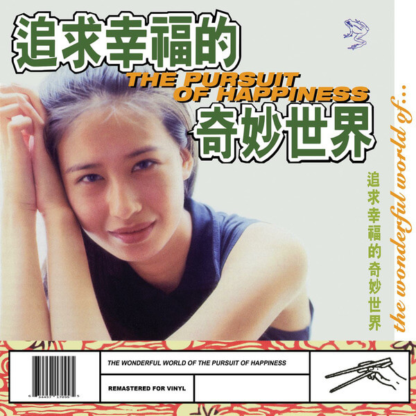 The Pursuit of Happiness - The Wonderful World of The Pursuit of Happiness - LP