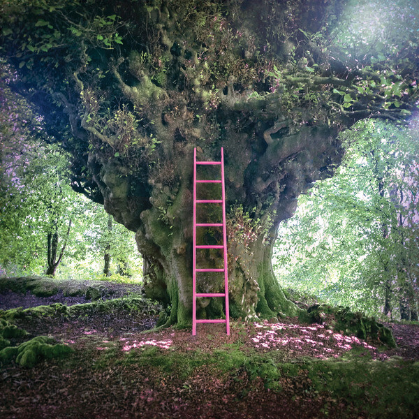 Simon Chesterfield - Simon Chesterfield - 10"