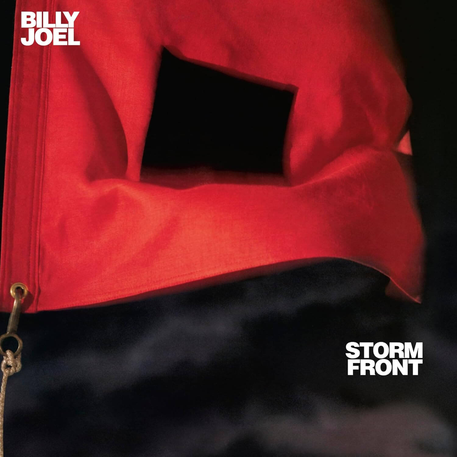 Billy Joel - Storm Front - Vinyl LP