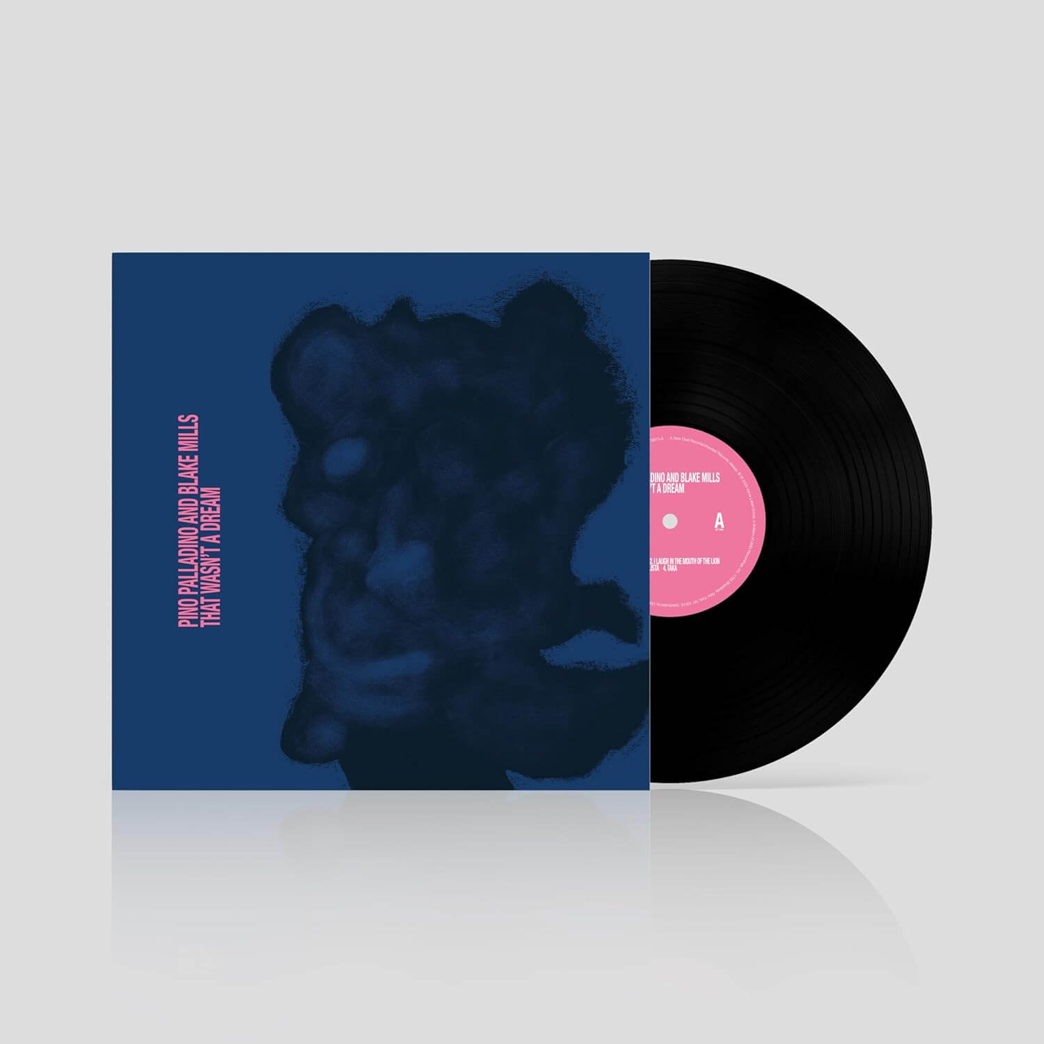 Pino Palladino & Blake Mills - That Wasn't A Dream - Vinyl LP - Image 2