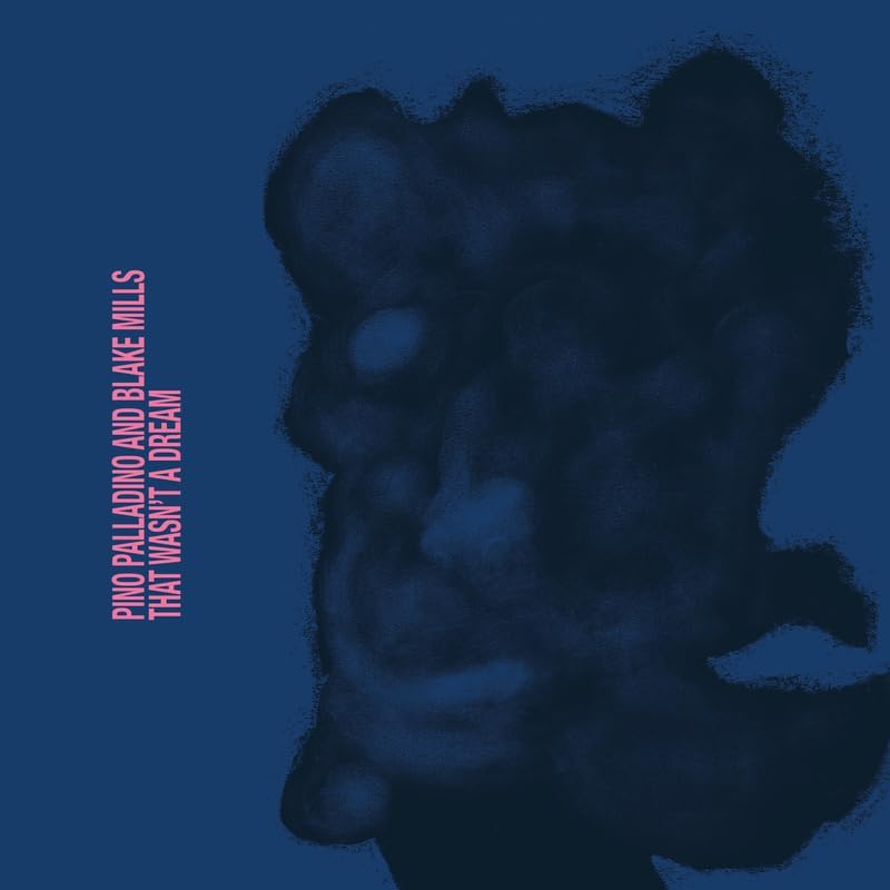 Pino Palladino & Blake Mills - That Wasn't A Dream - Vinyl LP