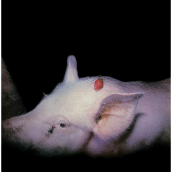 The Damned - Strawberries - 2CD