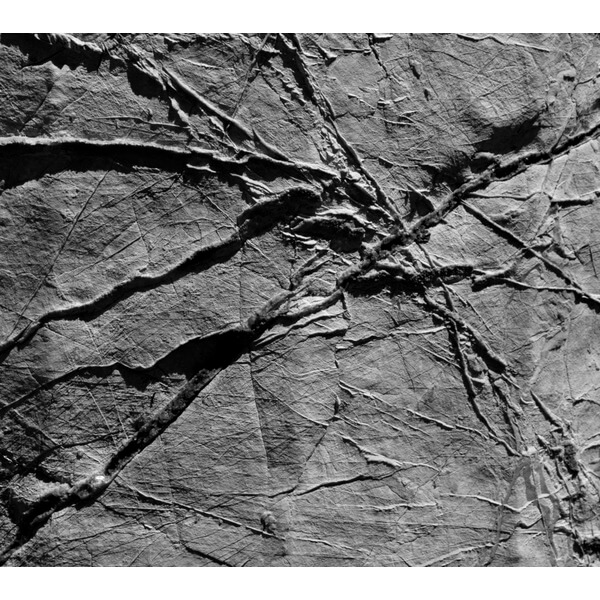 AGF - Arachnesound - CD