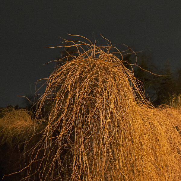 Mike Majkowski - November - CD