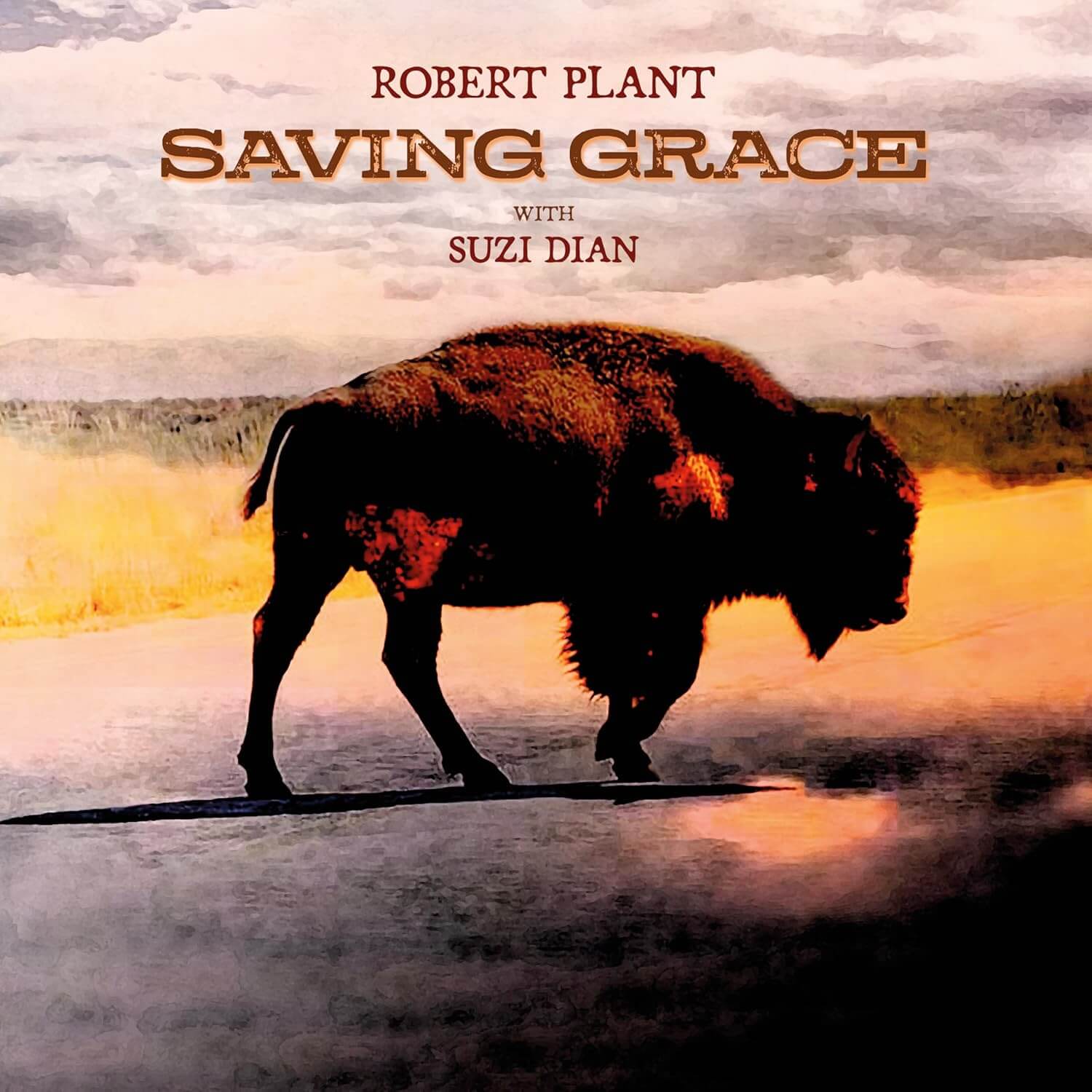 Robert Plant - Saving Grace - Vinyl LP