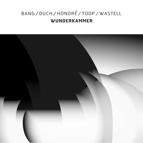 Bang / Duch / Honore / Toop / Wastell - Wunderkammer - LP
