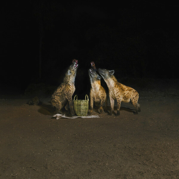 Years of Denial - Suicide Disco - 2LP