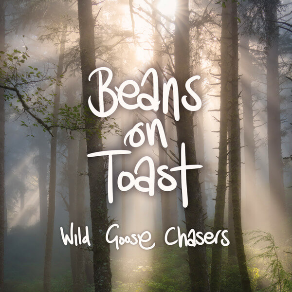 Beans On Toast - Wild Goose Chasers - LP