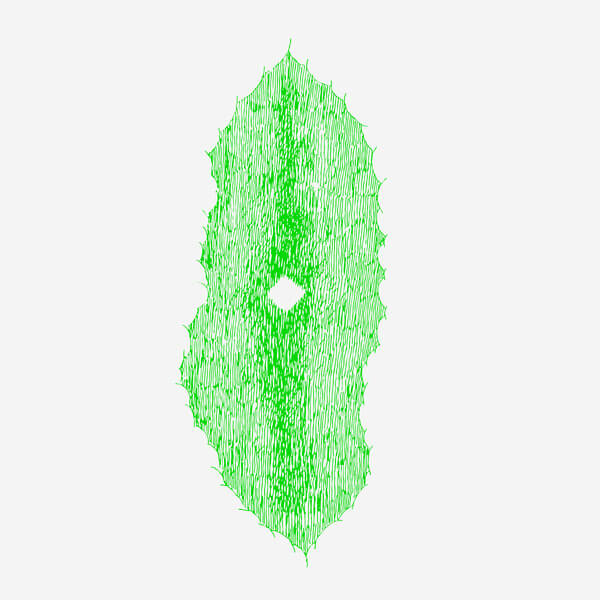 Tv Dust - Transition - LP