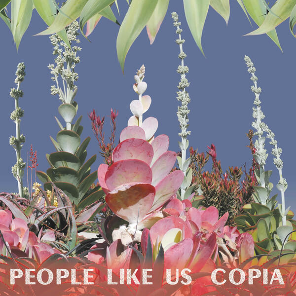 People Like Us - Copia - LP