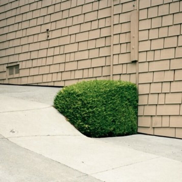 Ezra Feinberg - Soft Power - LP